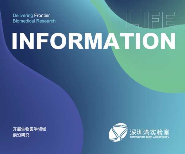 杭州VI設(shè)計(jì)公司的特色是什么？