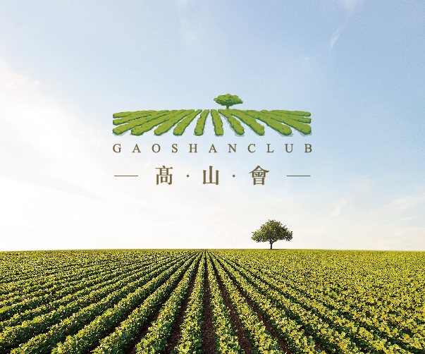 上海vi設(shè)計(jì)師工資水平如何？